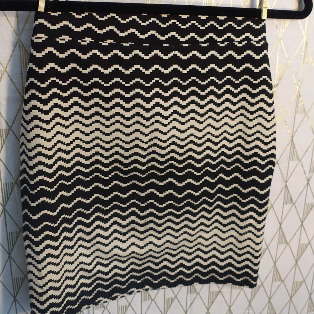 Black and White Mini Skirt